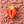 Load image into Gallery viewer, STRAWBERRY + ALMOND 10 pcs