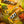 Load image into Gallery viewer, MANGO COCO CHILL 10 PCS
